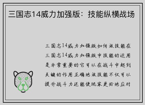 三国志14威力加强版：技能纵横战场